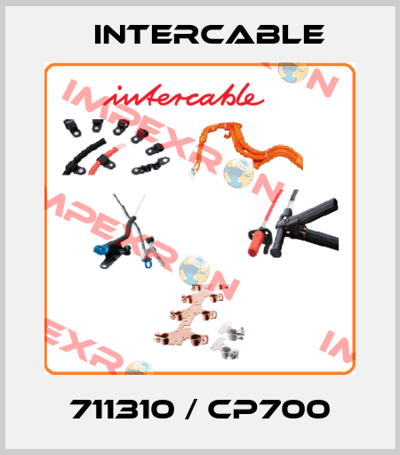 711310 / CP700 Intercable