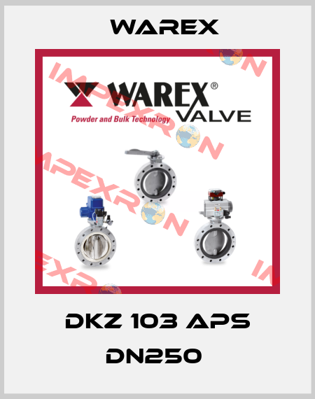 DKZ 103 APS DN250  Warex