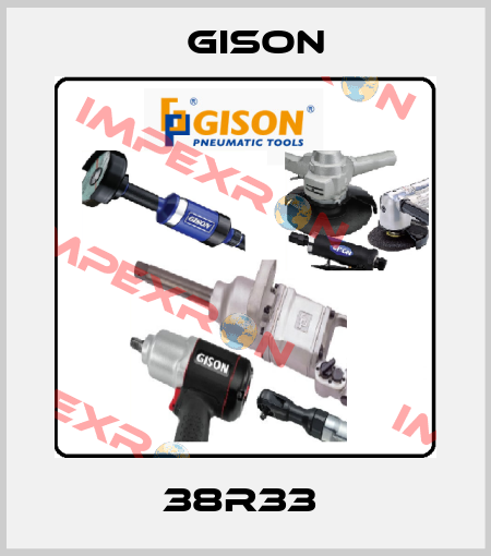 38R33  Gison