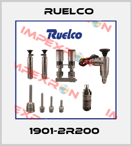 1901-2R200  Ruelco