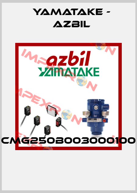 CMG250B003000100  Yamatake - Azbil