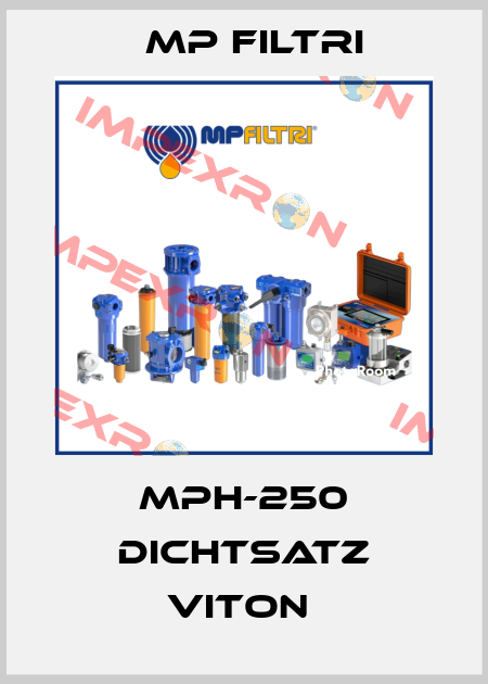 MPH-250 DICHTSATZ VITON  MP Filtri