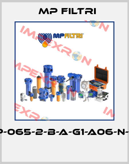 FHP-065-2-B-A-G1-A06-N-P01  MP Filtri