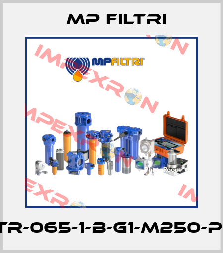 STR-065-1-B-G1-M250-P01 MP Filtri