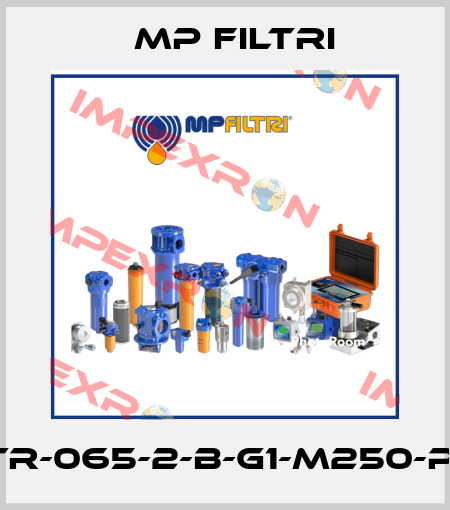 STR-065-2-B-G1-M250-P01 MP Filtri