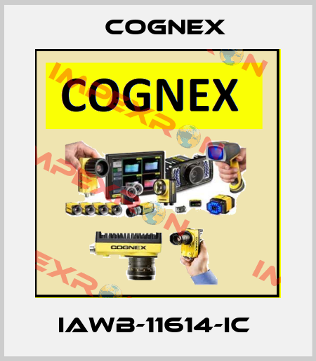 IAWB-11614-IC  Cognex