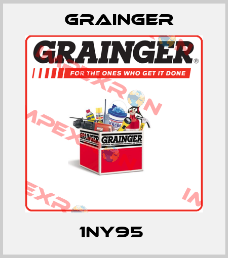 1NY95  Grainger