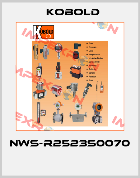 NWS-R2523S0070  Kobold