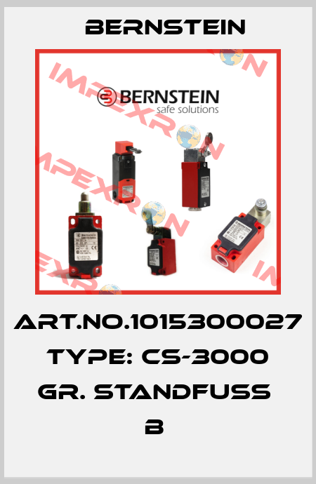 Art.No.1015300027 Type: CS-3000 GR. STANDFUSS        B  Bernstein