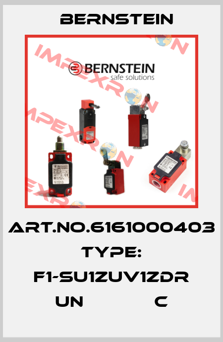 Art.No.6161000403 Type: F1-SU1ZUV1ZDR UN             C Bernstein