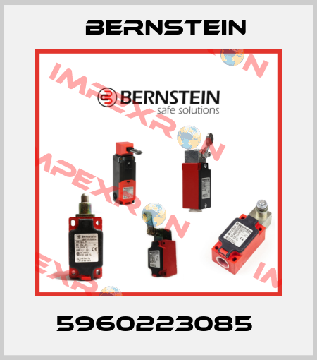 5960223085  Bernstein