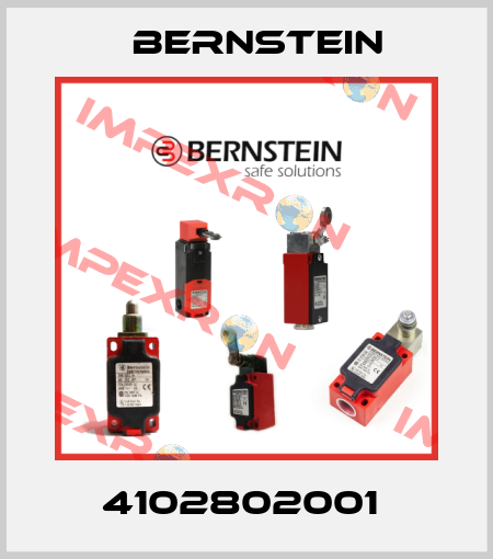 4102802001  Bernstein
