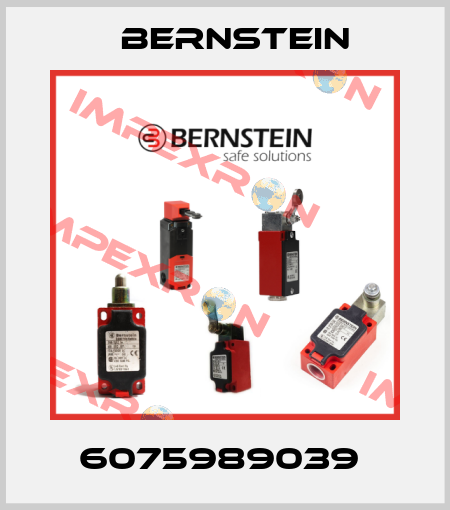 6075989039  Bernstein