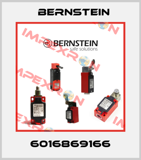 6016869166 Bernstein