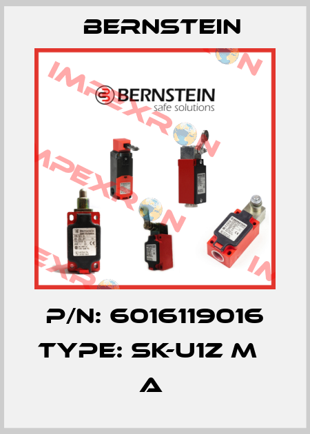 P/N: 6016119016 Type: SK-U1Z M                     A  Bernstein