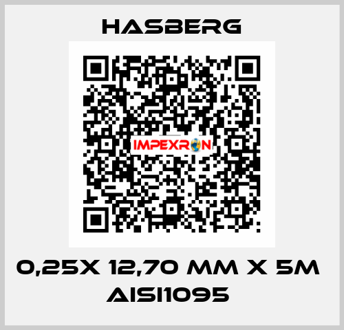 0,25X 12,70 MM X 5M  AISI1095  Hasberg