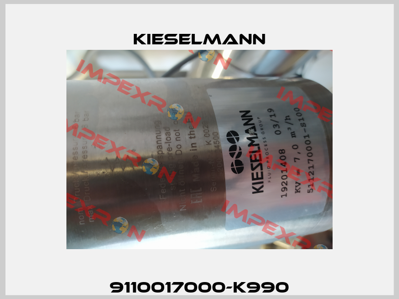 9110017000-K990 Kieselmann