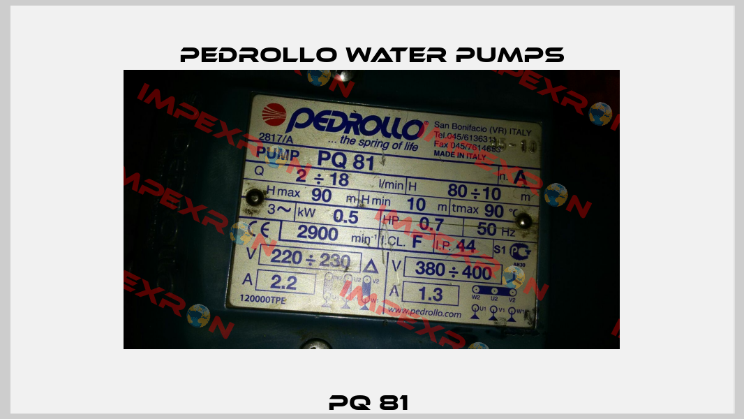 PQ 81  Pedrollo Water Pumps