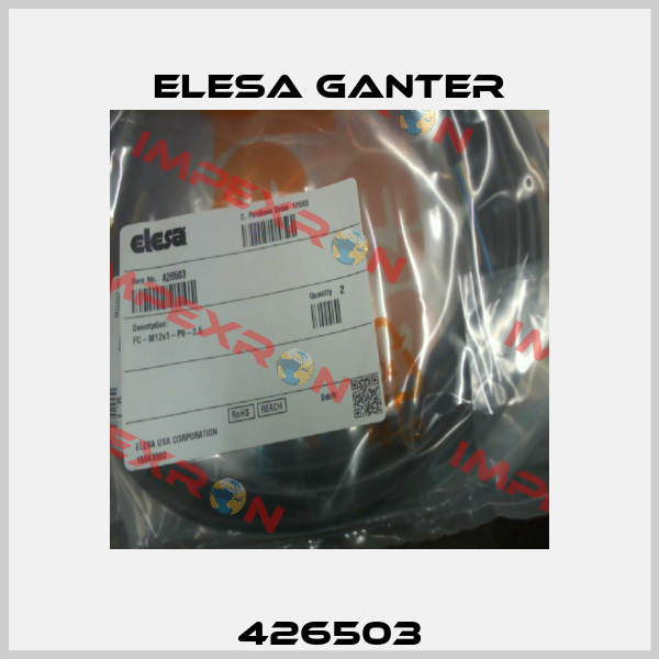 426503 Elesa Ganter