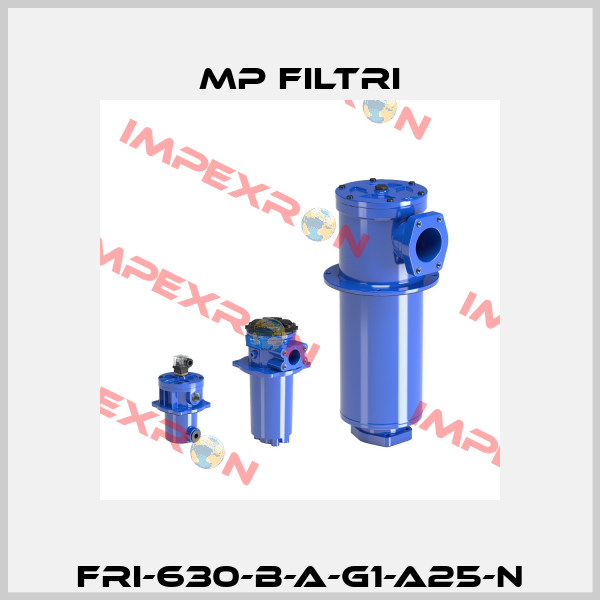 FRI-630-B-A-G1-A25-N MP Filtri