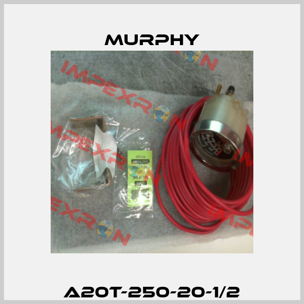 A20T-250-20-1/2 Murphy