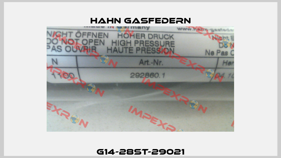 G14-28ST-29021 Hahn Gasfedern